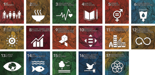 sustainable sa goals-01